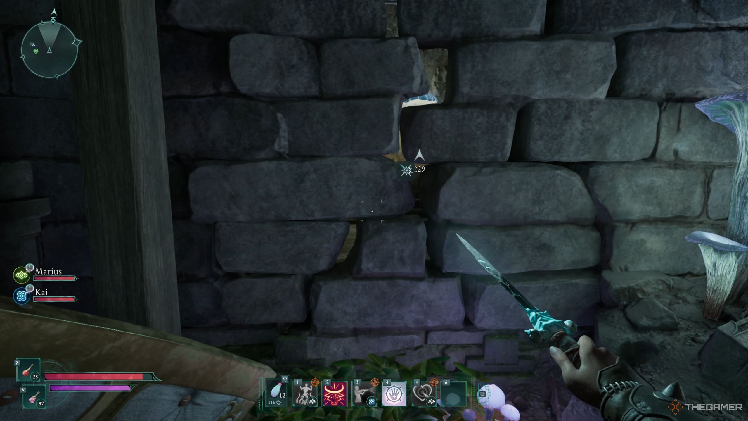 Avowed Emerald Stairs Pargrun Cache wall to get secret treasure.