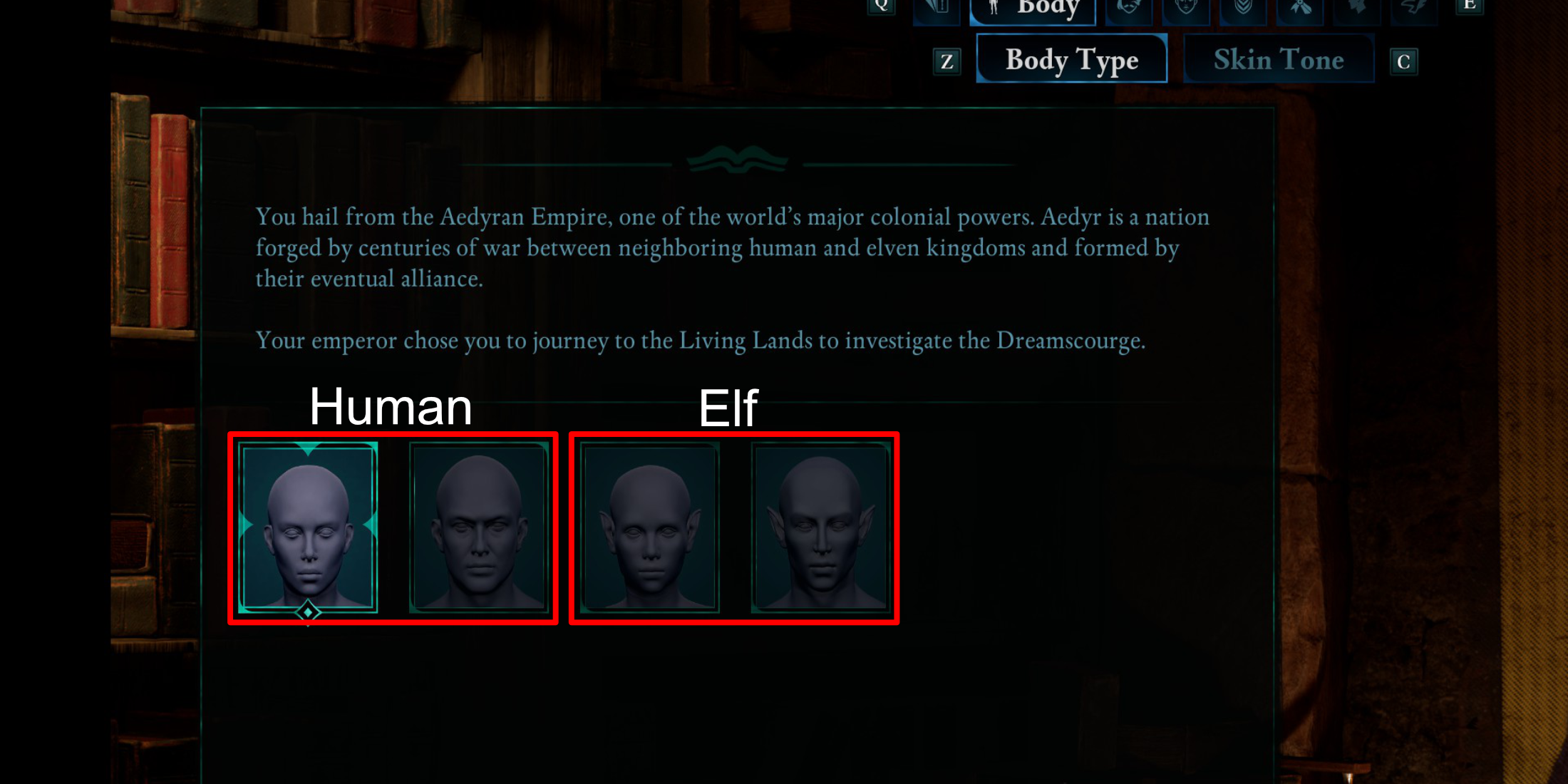 Avowed Races Human Elf Race Choice Character Creation Screen