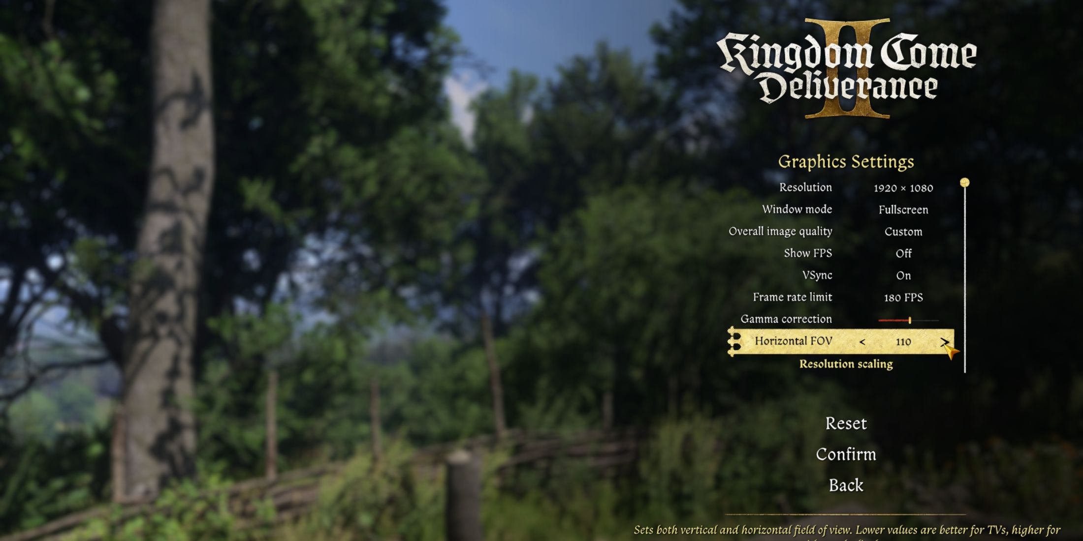 changing fov to 110 in kingdom come deliverance 2