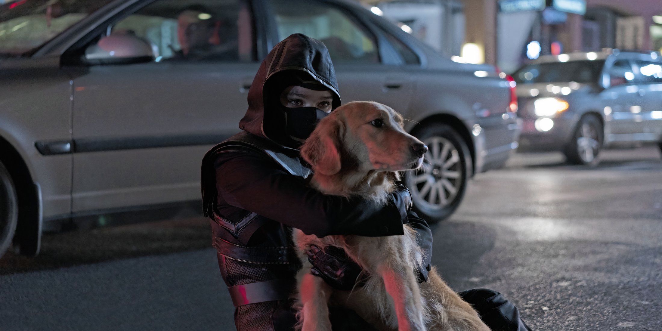 hawkeye kate bishop and dog