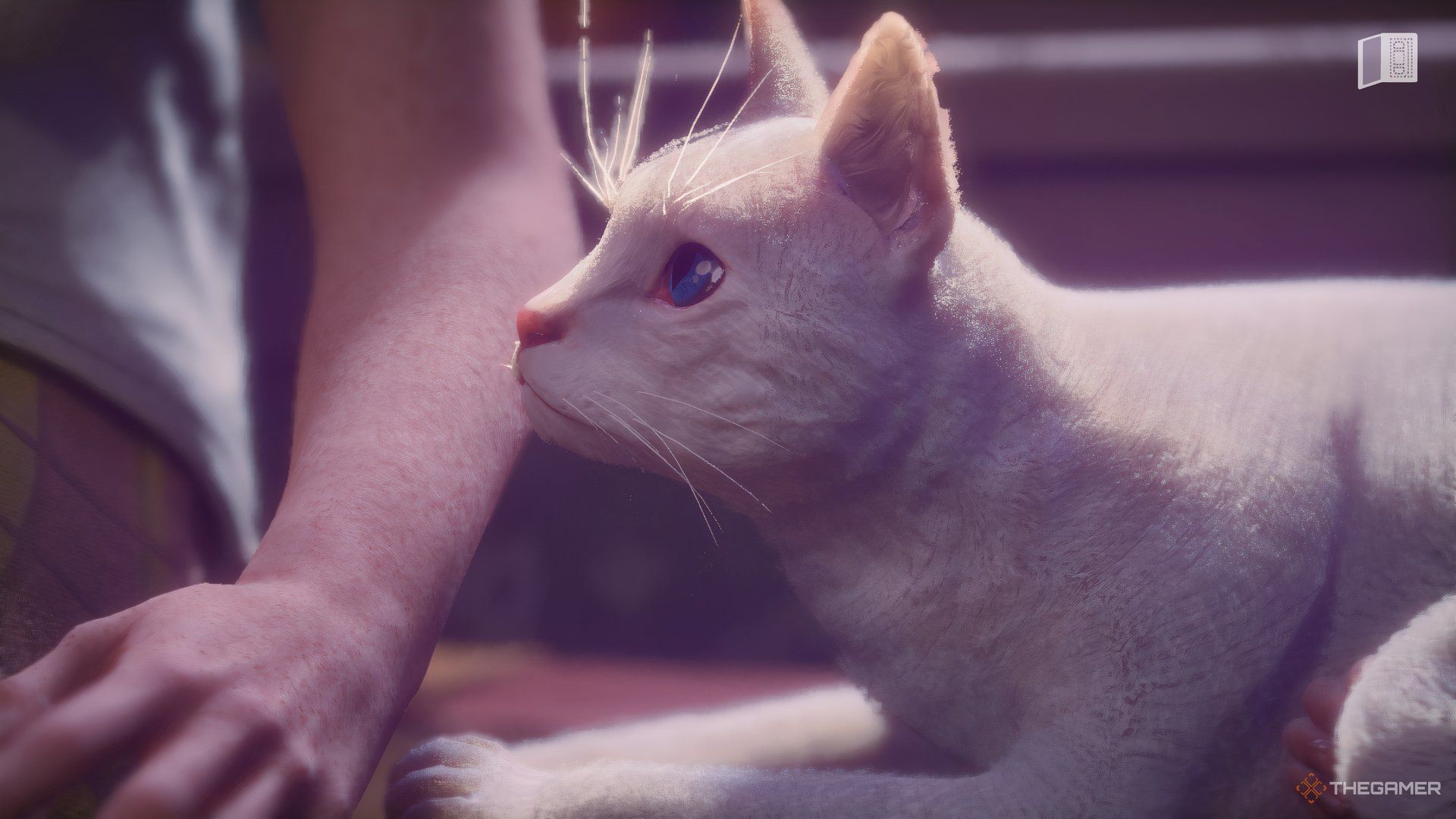 Lost Records - Bloom & Rage A white cat named Snowy looking at Swann's arm.