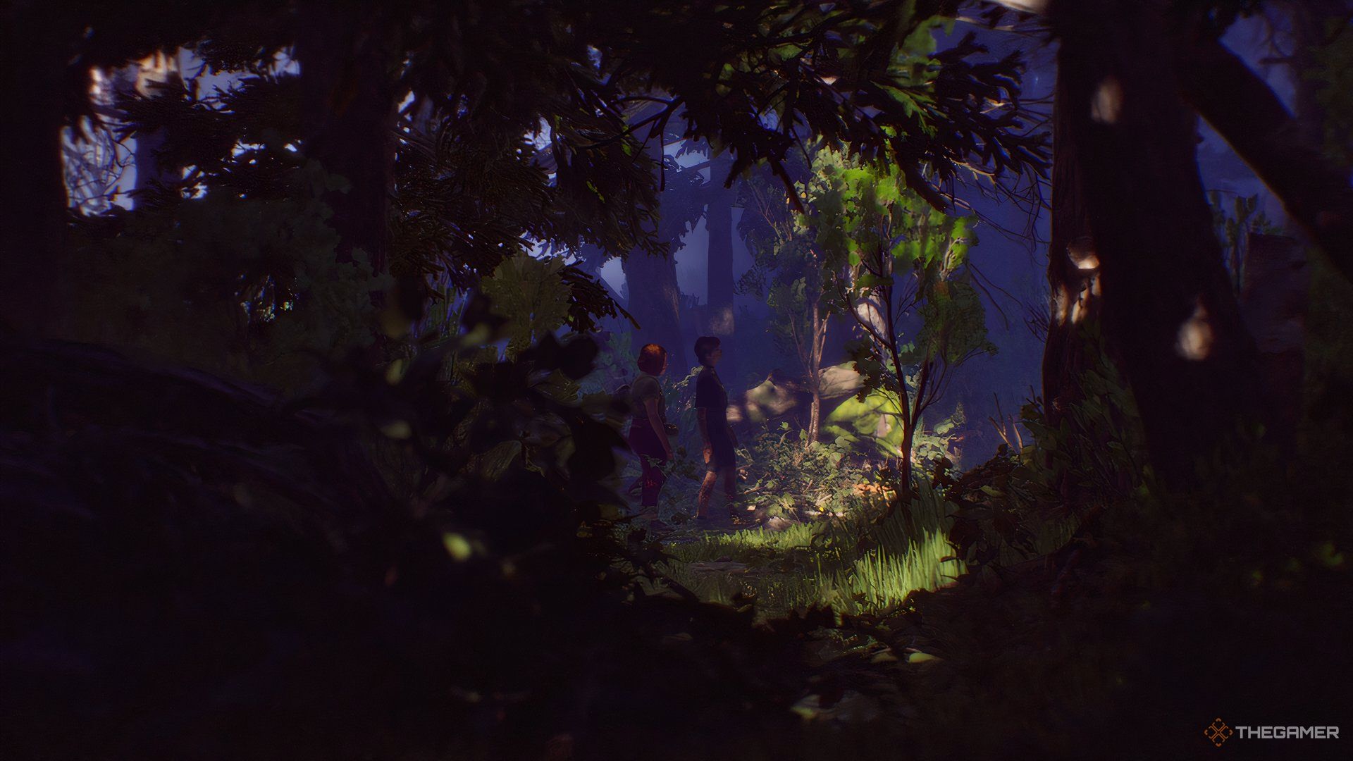 Swann and Nora walking through the forest in Lost Records: Bloom & Rage.