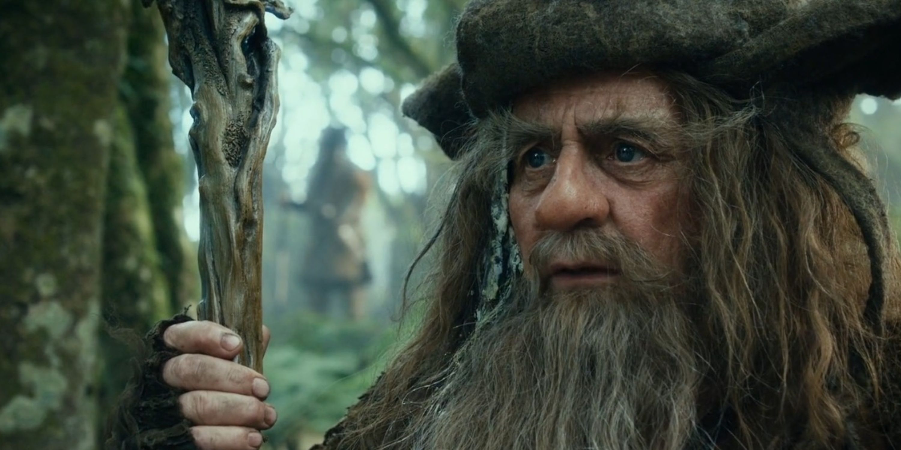 Radagast the Brown appears concerned.