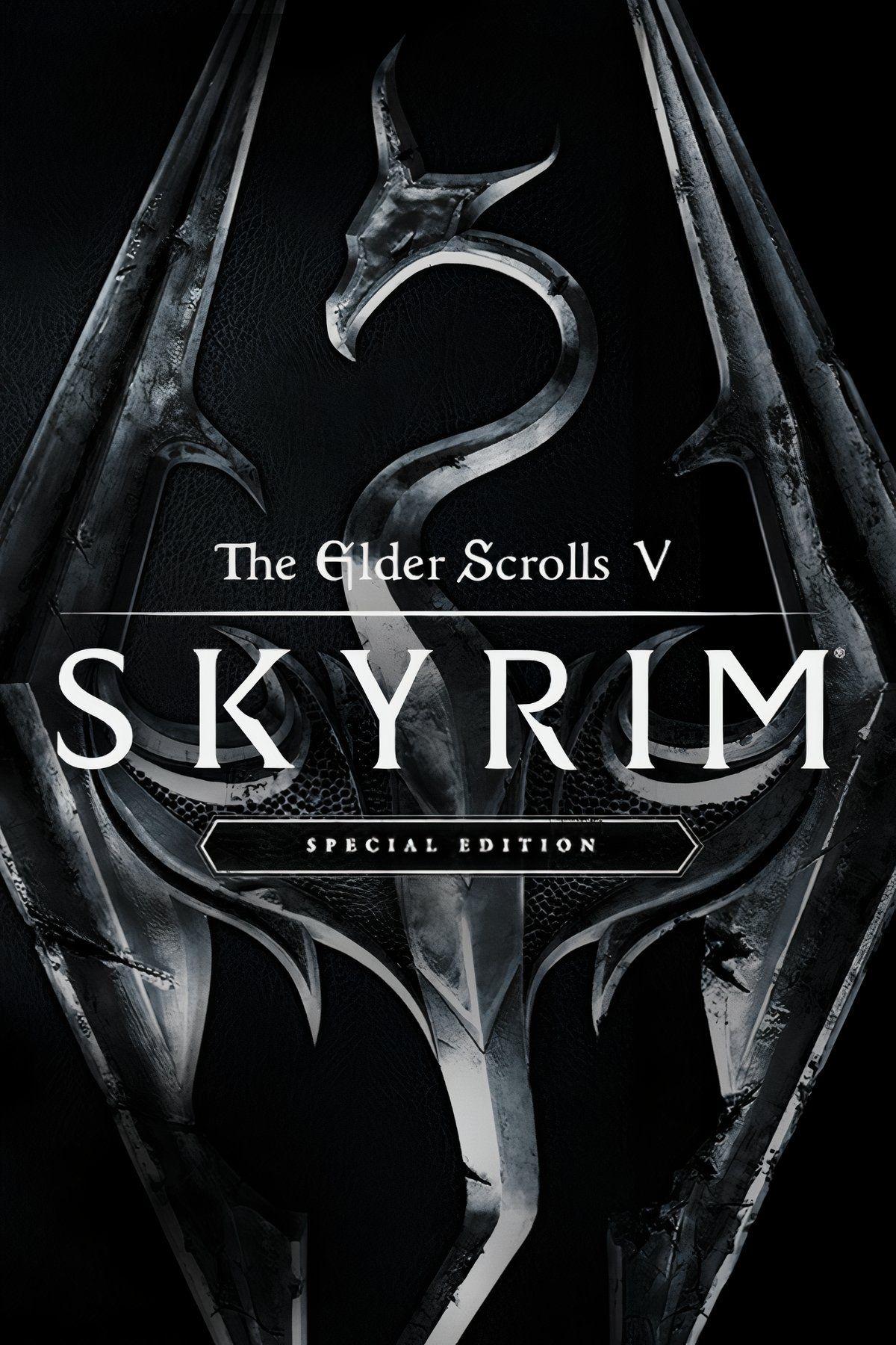 The Elder Scrolls V: Skyrim Special Edition Tag Page Cover Art