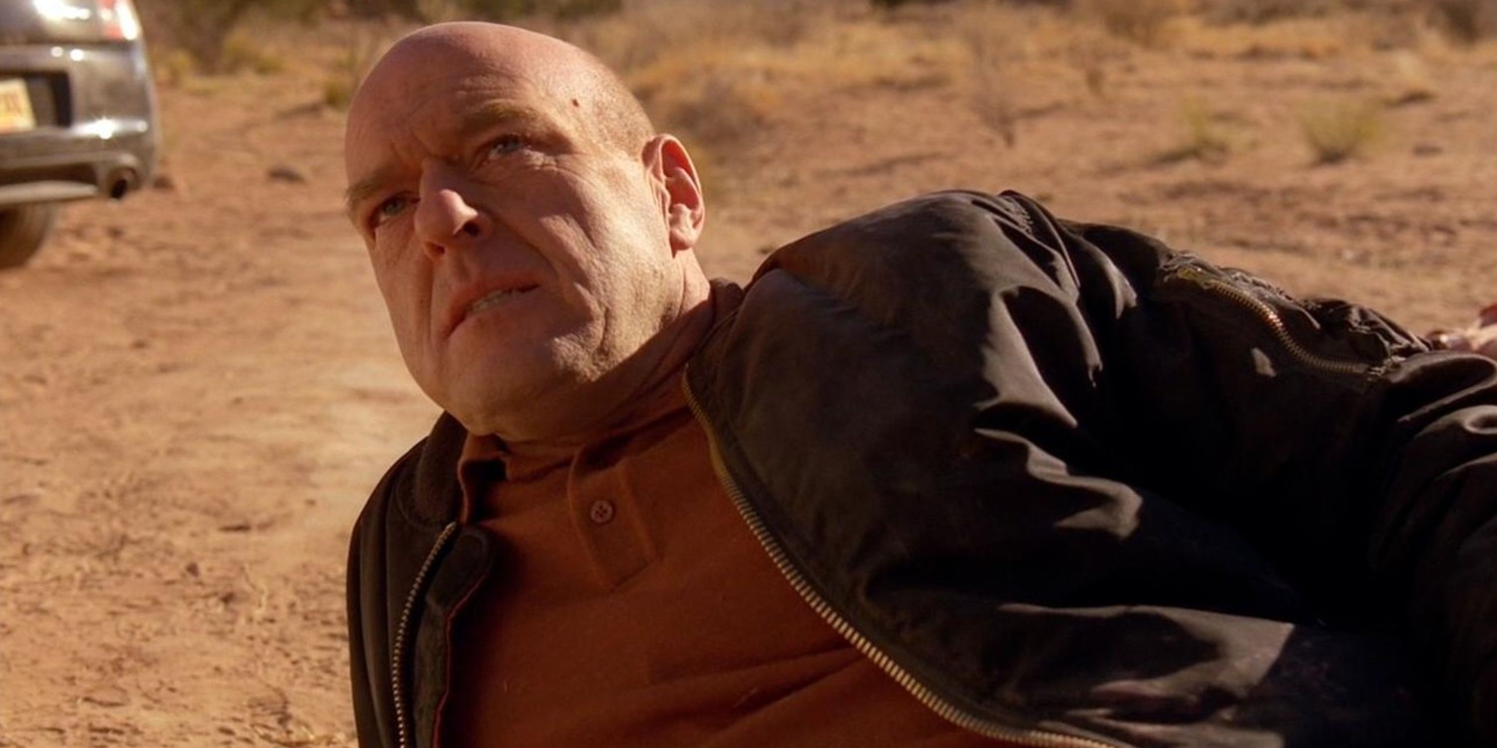 Hank Schrader in Breaking Bad