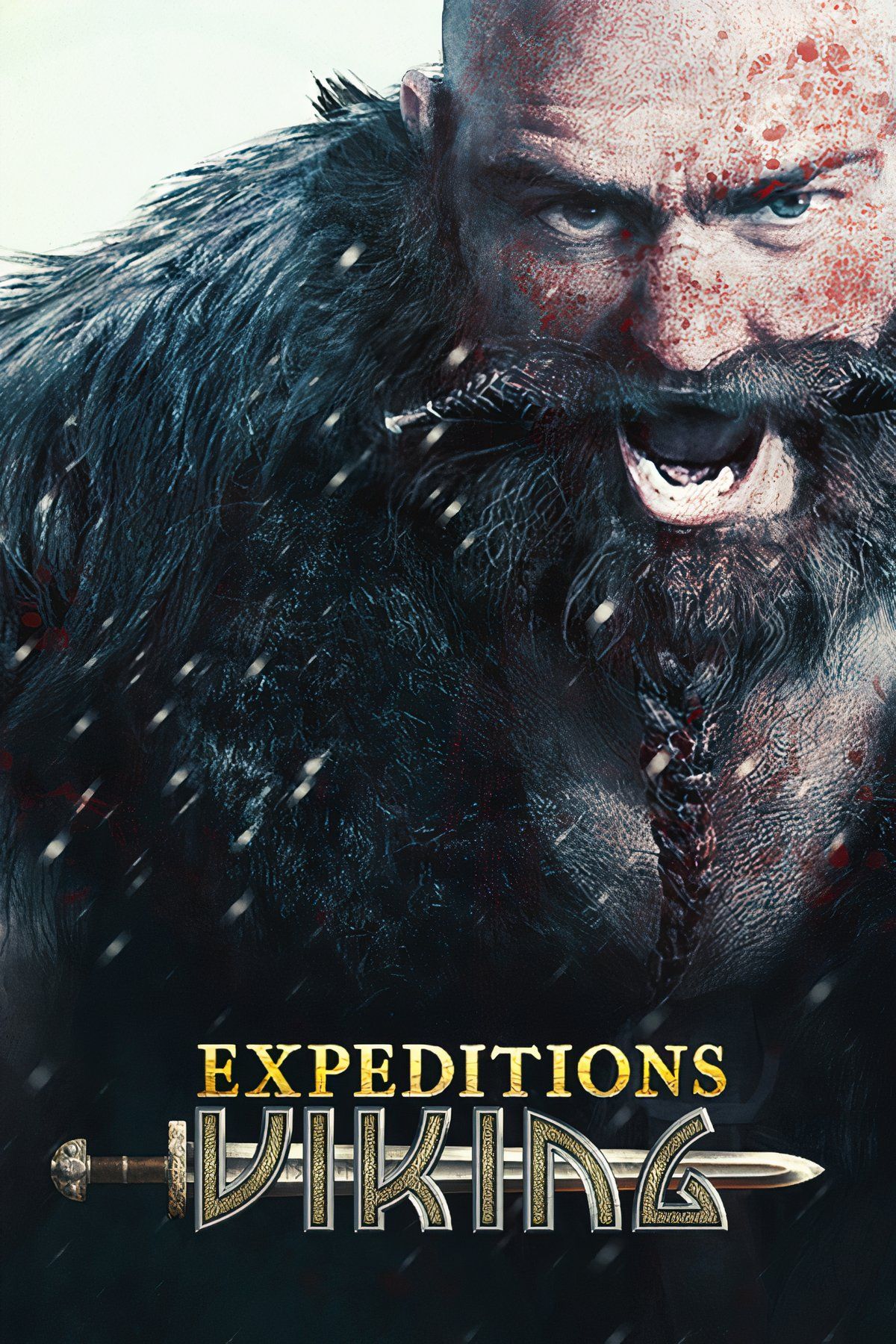 Expeditions: Viking Tag Page Cover Art