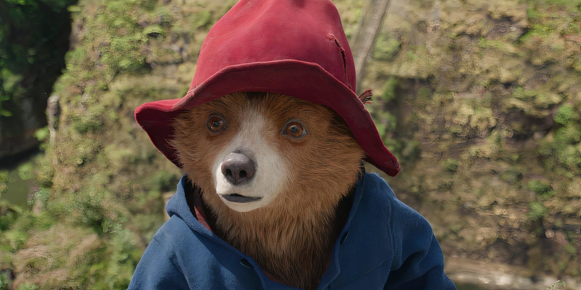 Paddington in Paddington in Peru