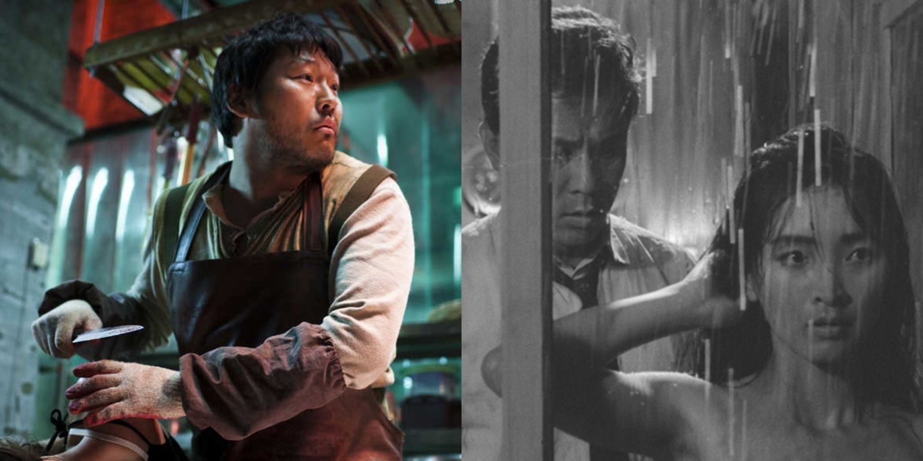 Korean horror films feature split image I Saw the Devil and The Housemaid