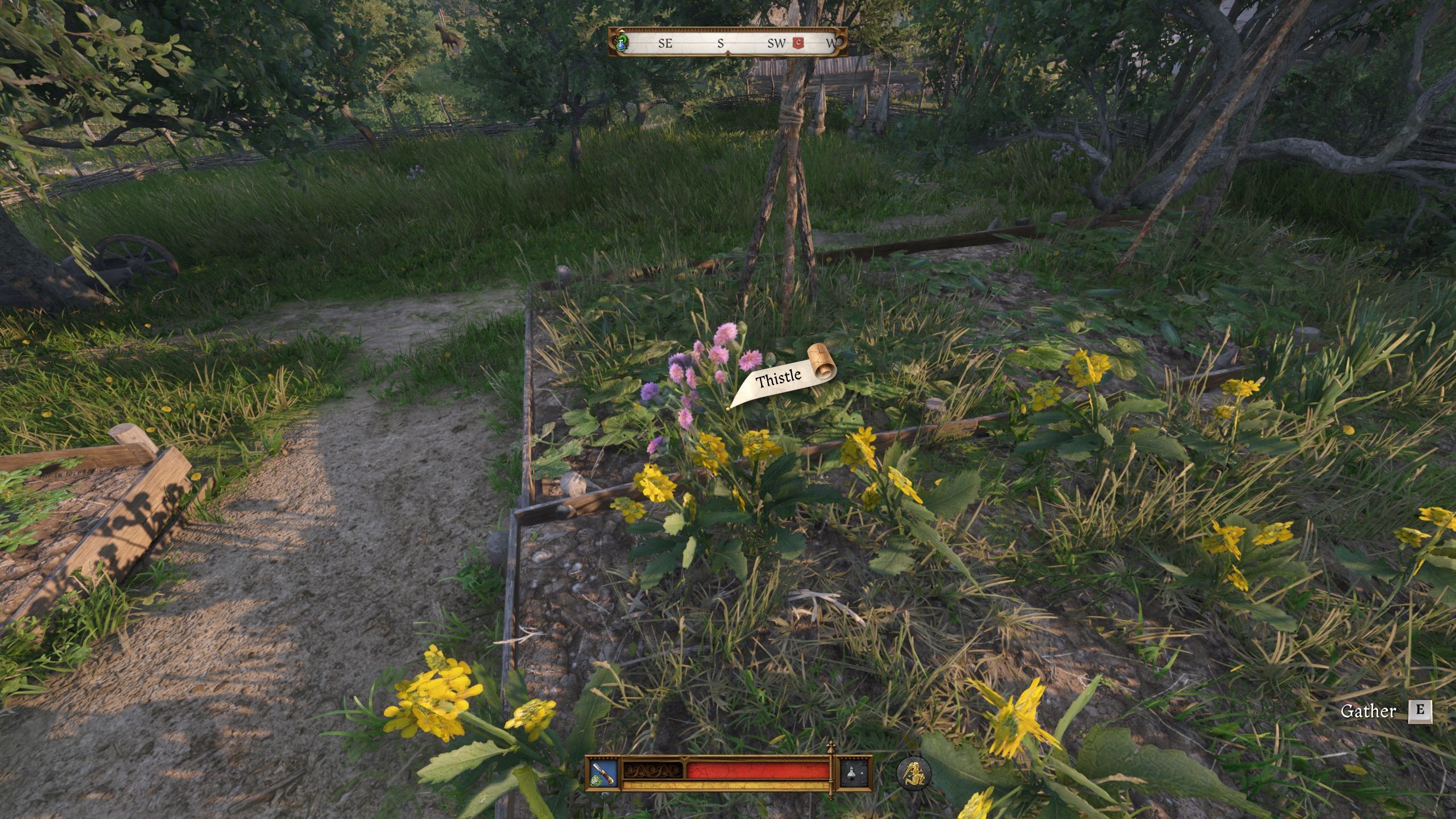 Player about to pick up Thistle in Kingdom Come Deliverance 2.