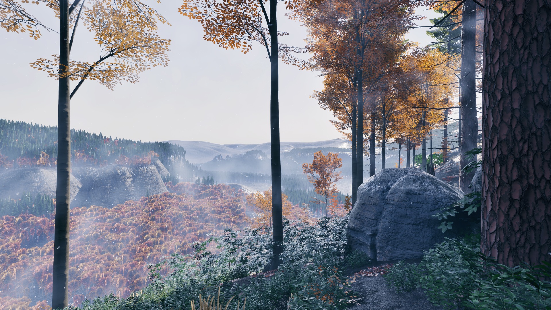 Prologue: A view into a valley filled with brown leaved trees