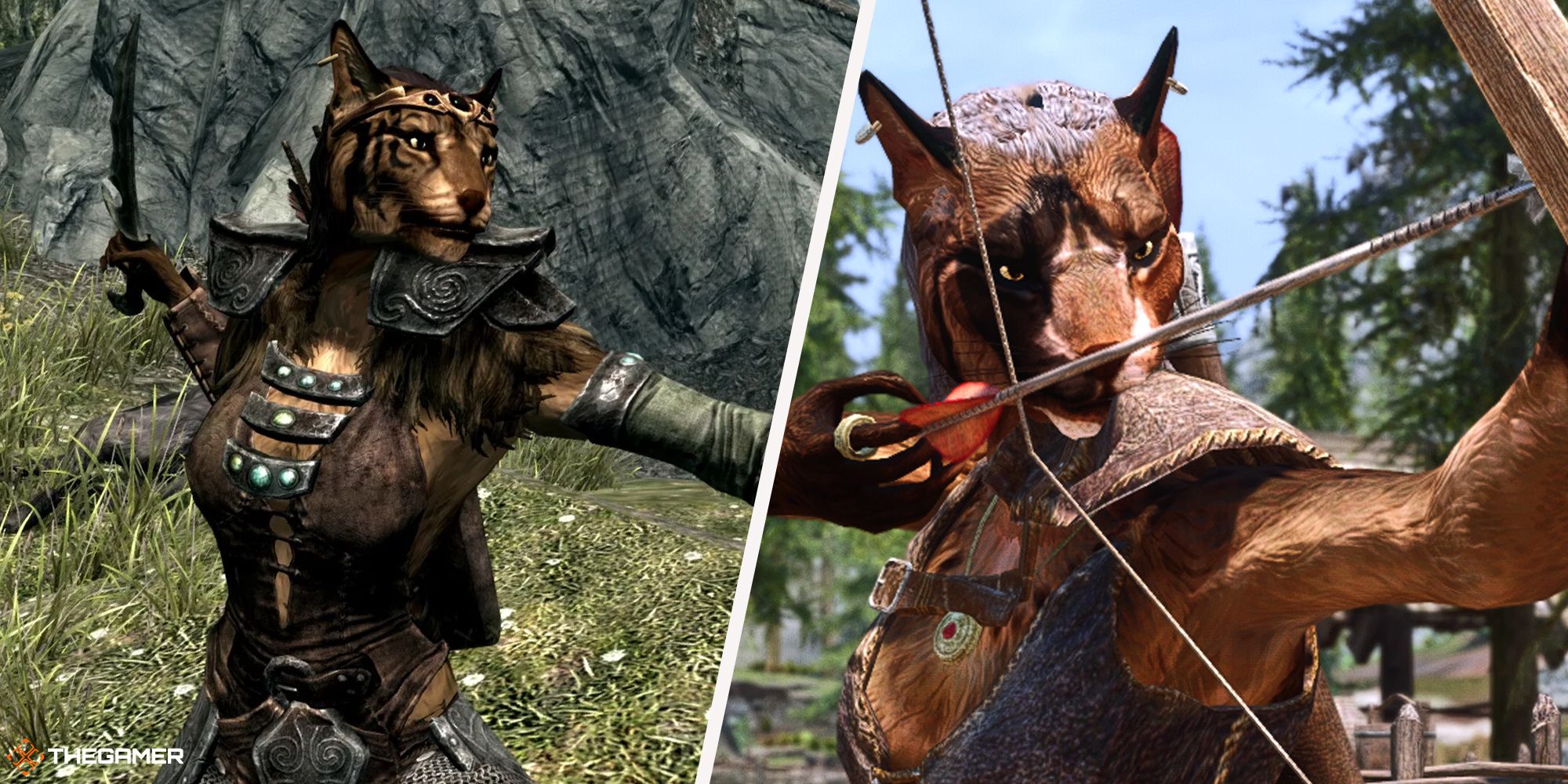 Skyrim - Khajiit characters