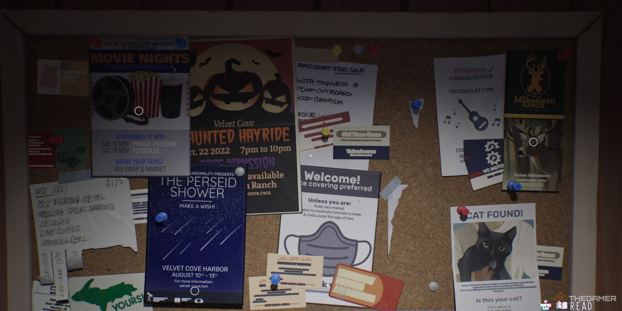 The bulletin board is cluttered with flyers in Lost Records Bloom & Rage.