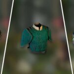Best Heavy Armor In Avowed