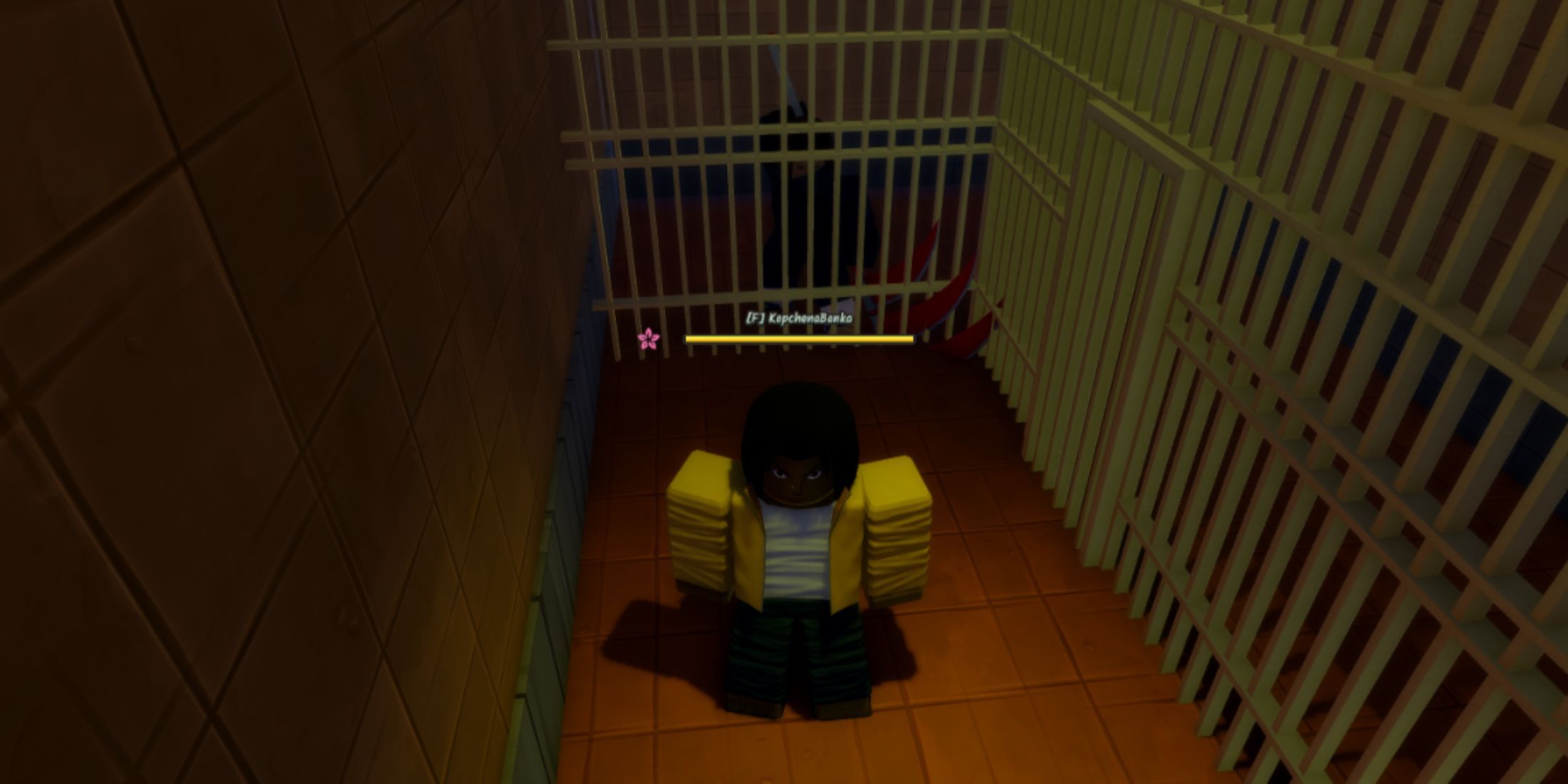 Ninja Time Renegade Prisoner