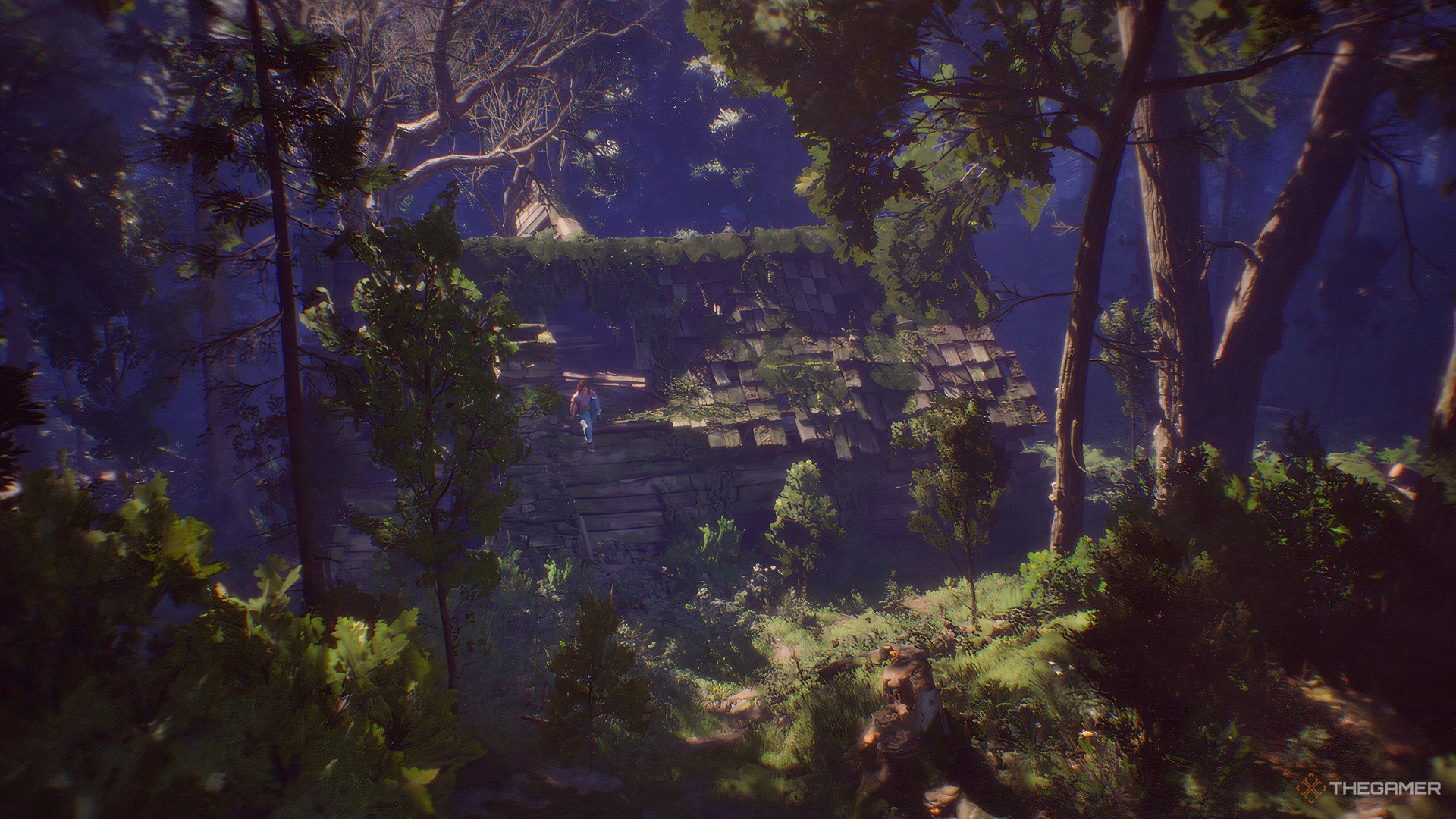 Swann sitting at the top of the cabin in Lost Records: Bloom & Rage.