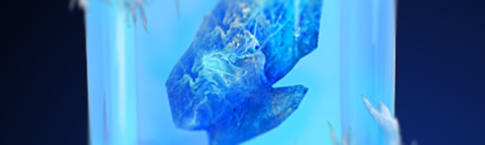 Destiny 2 Winter's Shroud Hunter Aspect
