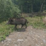 How To Get Pig Skin In Kingdom Come: Deliverance 2