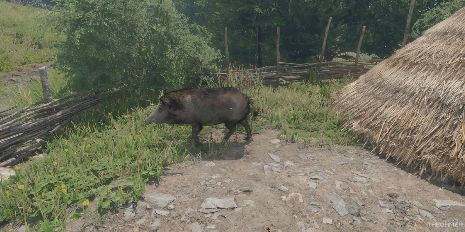 How To Get Pig Skin In Kingdom Come: Deliverance 2