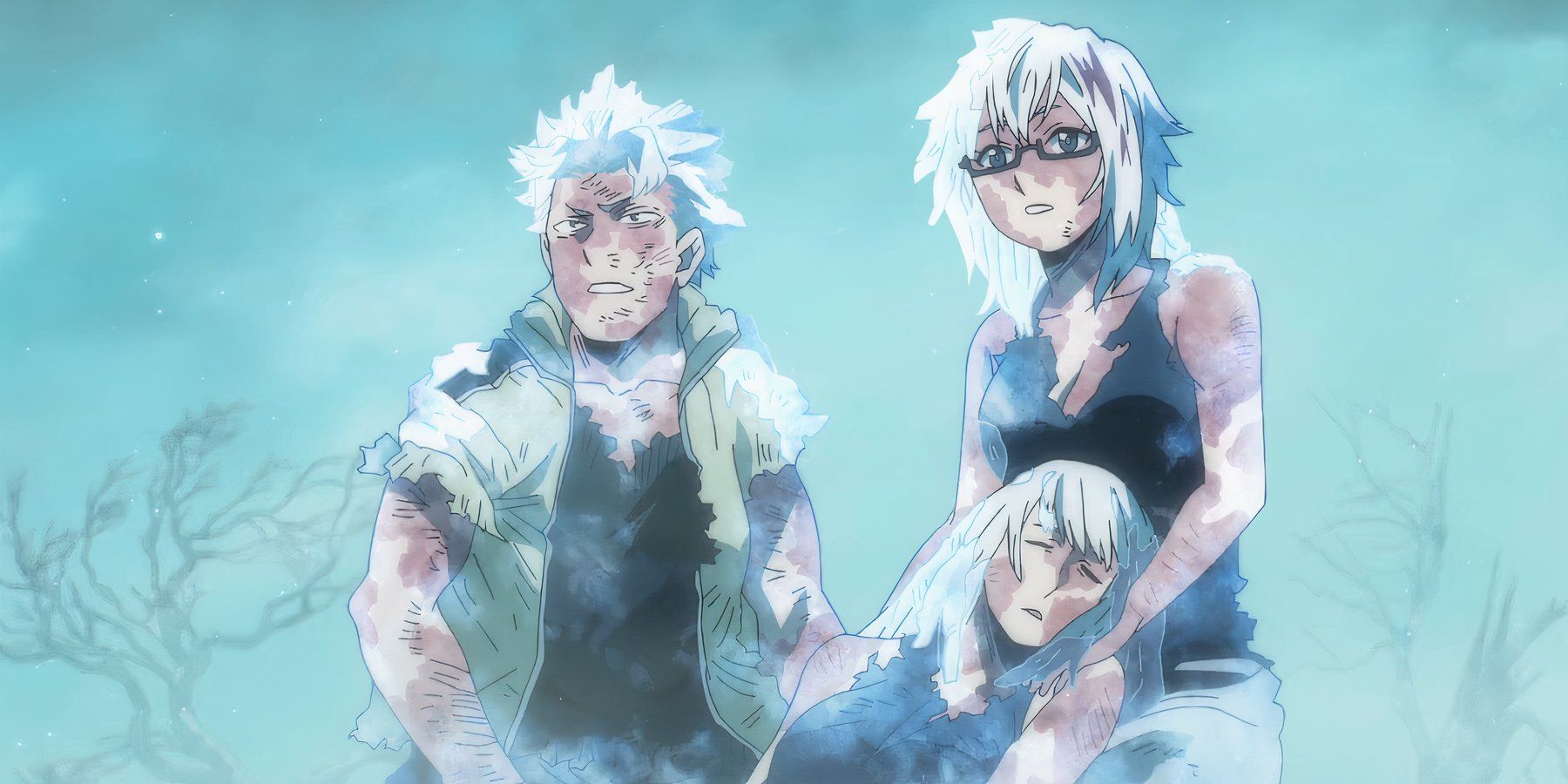 My Hero Academia todoroki family after  battle dabi