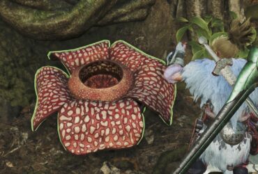 Where To Find Queensbloom Pollen In Monster Hunter Wilds