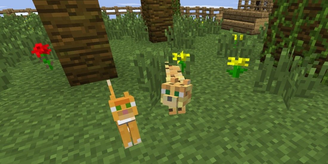 Image of one tamed ocelot and an untamed ocelots in Minecraft.