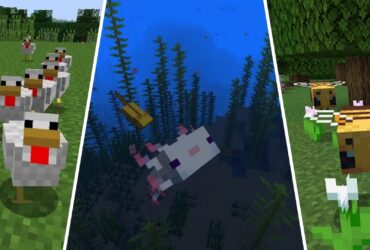 Most Adorable Minecraft Mobs