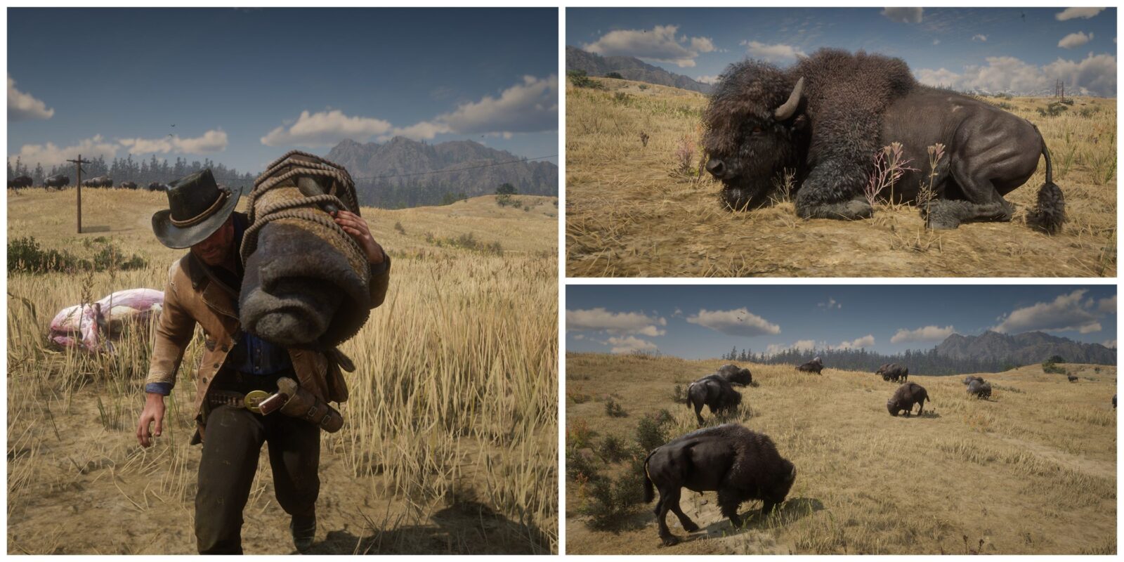 Best Weapons for Hunting Bison