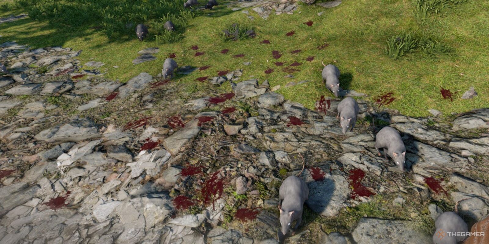 How To Stop Rat Swarms In Atomfall