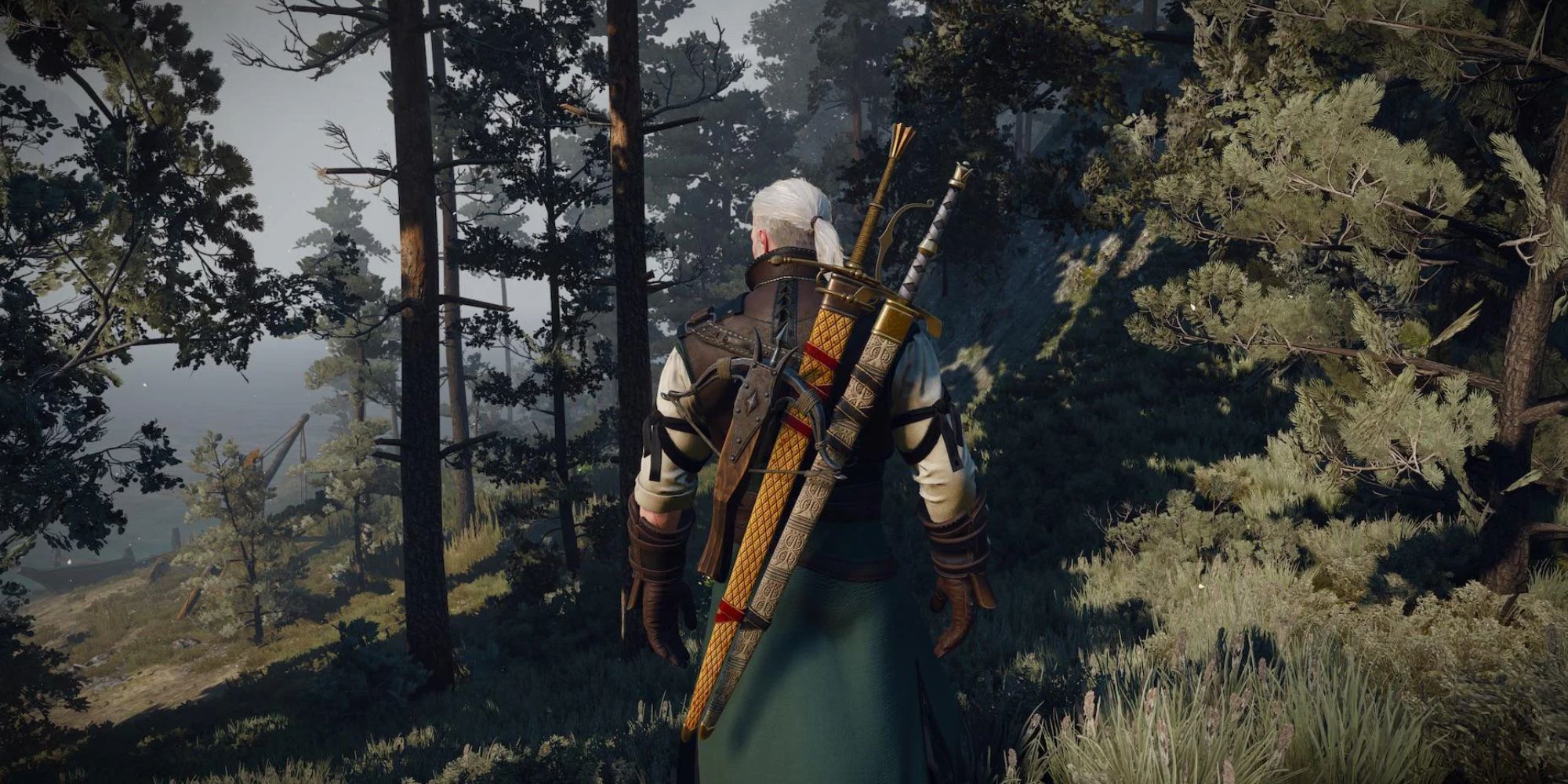Geralt with Tor Lara on his back in Witcher 3. 