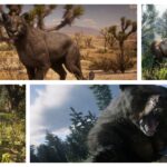 7 Hardest Animals To Hunt