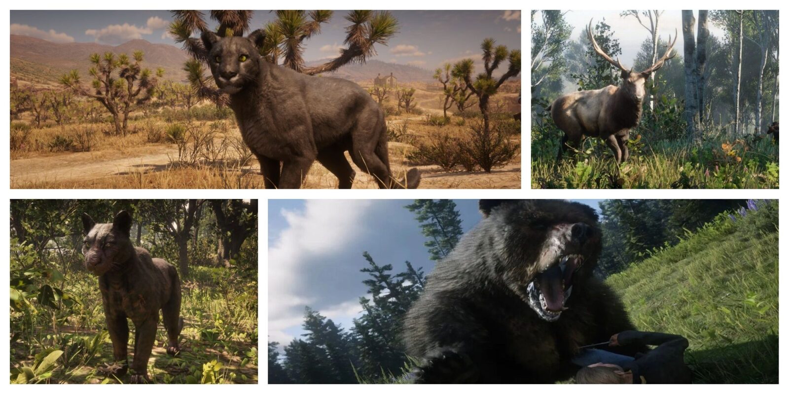 7 Hardest Animals To Hunt