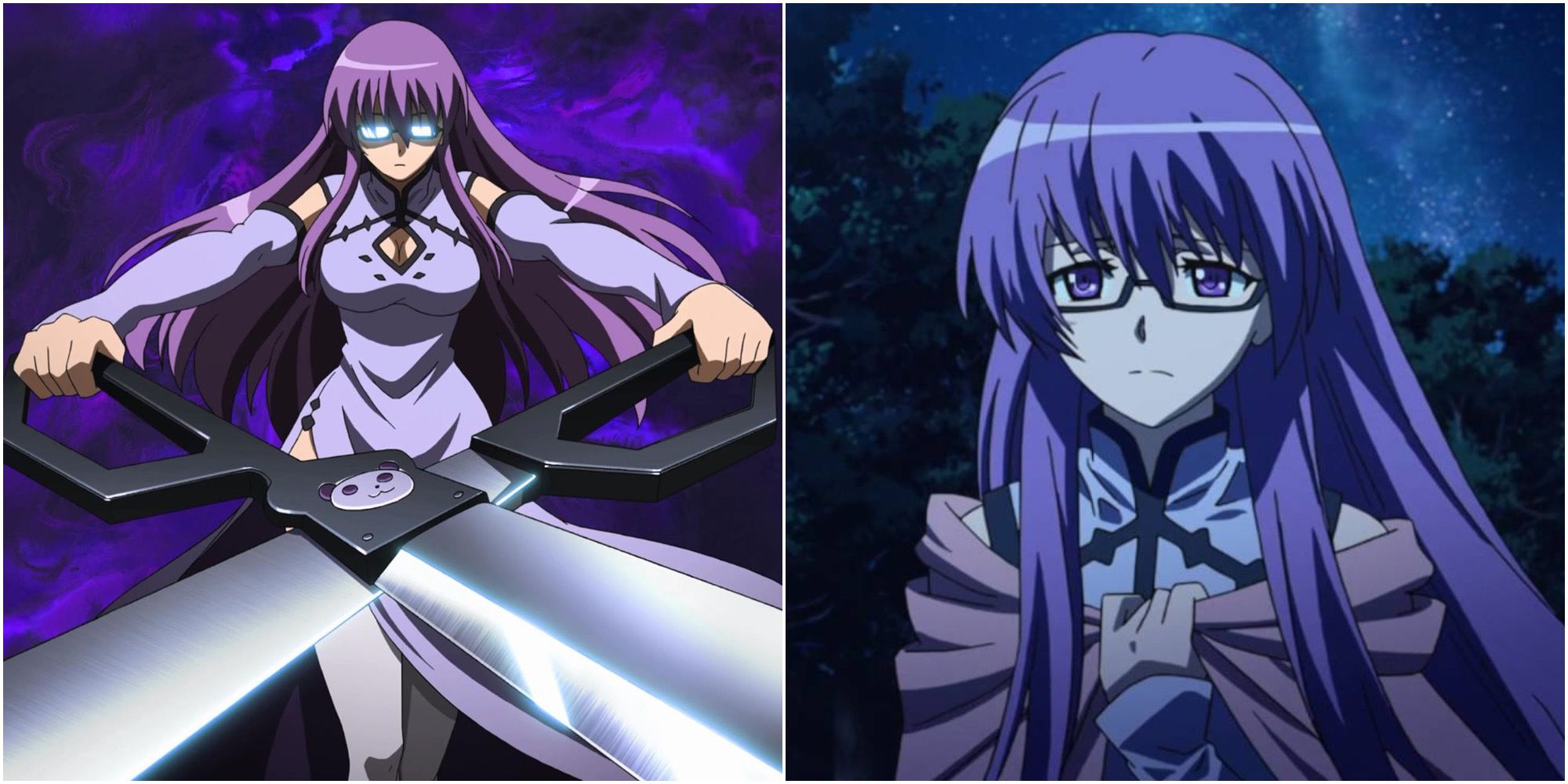 Akame Ga Kill Sheele Collage