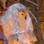 Baldur's Gate 3 Fan Discovers That Owlbears Can Sit On Thrones