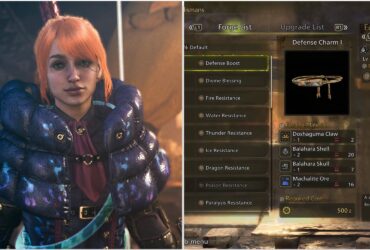 Best Early-Game Talismans To Equip In Monster Hunter Wilds