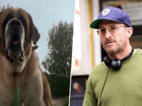 Black Swan's Darren Aronofsky reportedly in talks to direct Netflix's new take on Stephen King horror Cujo