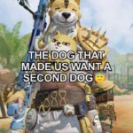 Call of Duty: Mobile (Twitter) One is Always ...