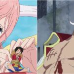 Characters Who Gained Luffy's Respect