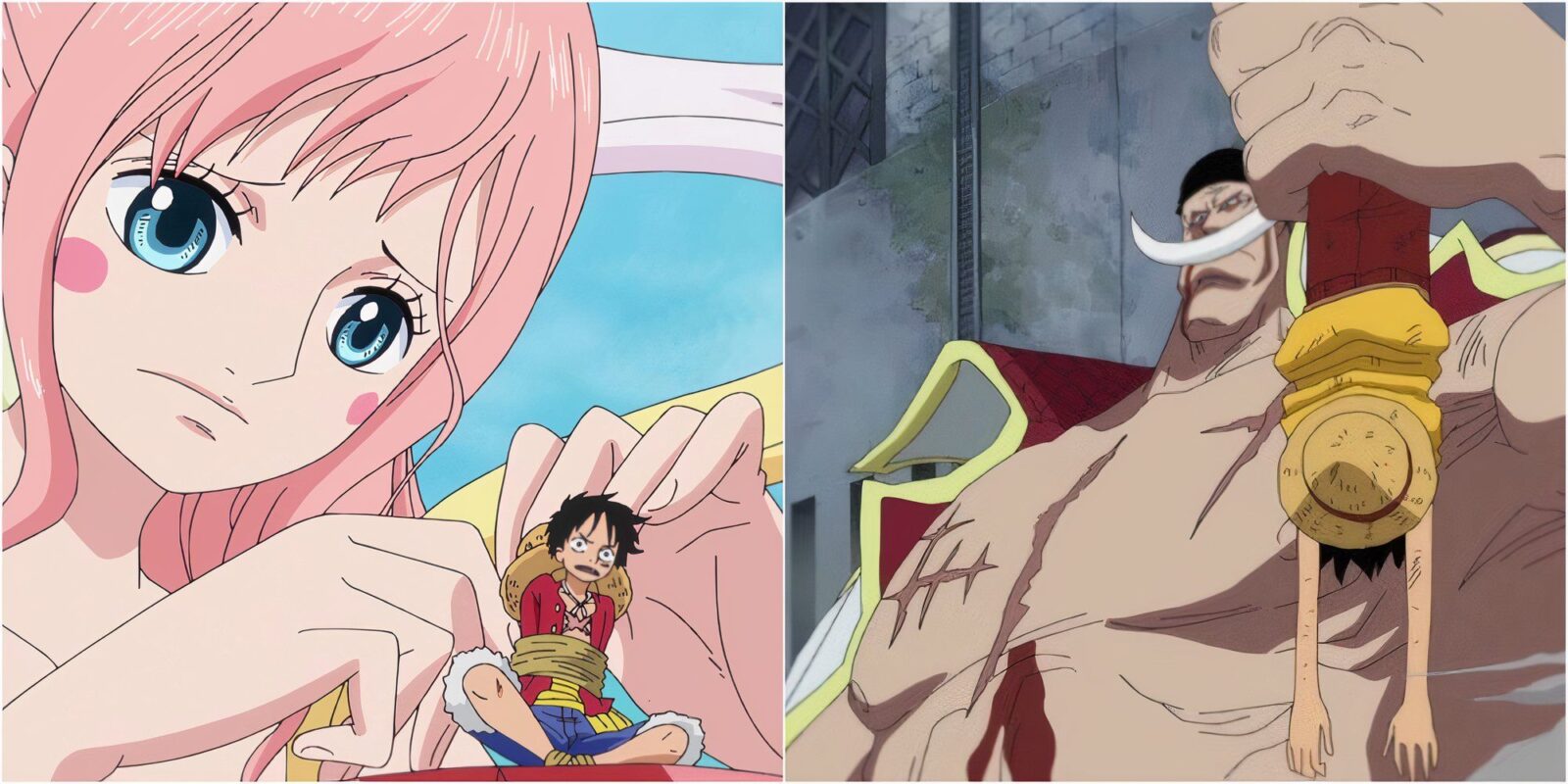 Characters Who Gained Luffy's Respect