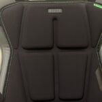 Razer Freyja back cushions