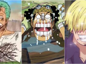 Every Straw Hats' Biggest Weakness In One Piece