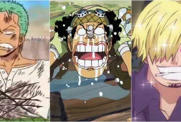 Every Straw Hats' Biggest Weakness In One Piece