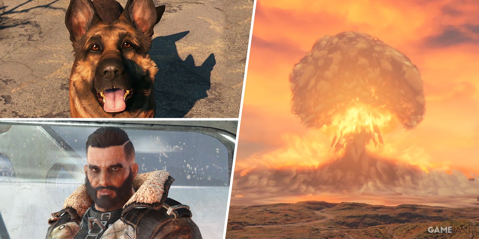 fallout-4-dogmeat-elder-maxson