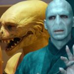 HBO’s Potter Series Might Reveal Voldemort’s Terrifying Real Form