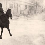 How To Call Your Mount & Upgrade It In Assassin's Creed Shadows