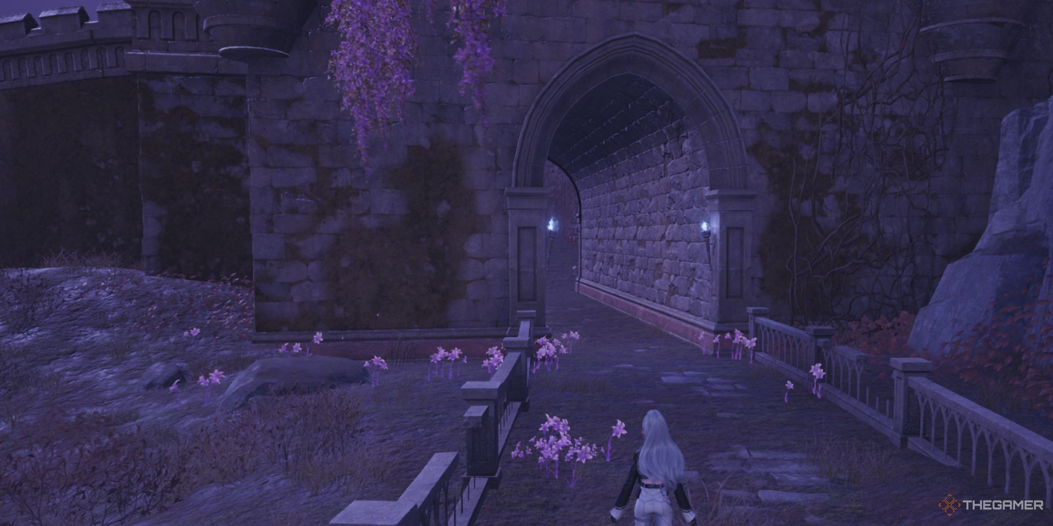 Nikki is outside the gate of the Queen's Palace Ruin in Infinity Nikki.