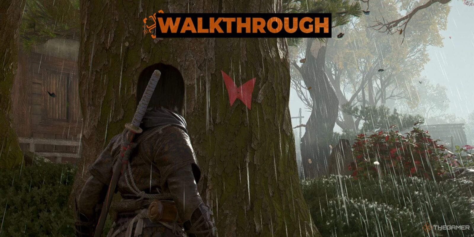 How To Find Every Butterfly In The Butterfly Collector In Assassin's Creed Shadows