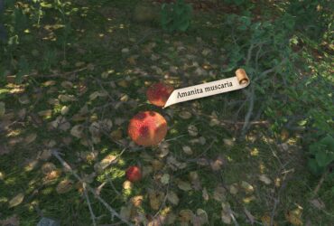 How To Get Amanita Muscaria In Kingdom Come: Deliverance 2