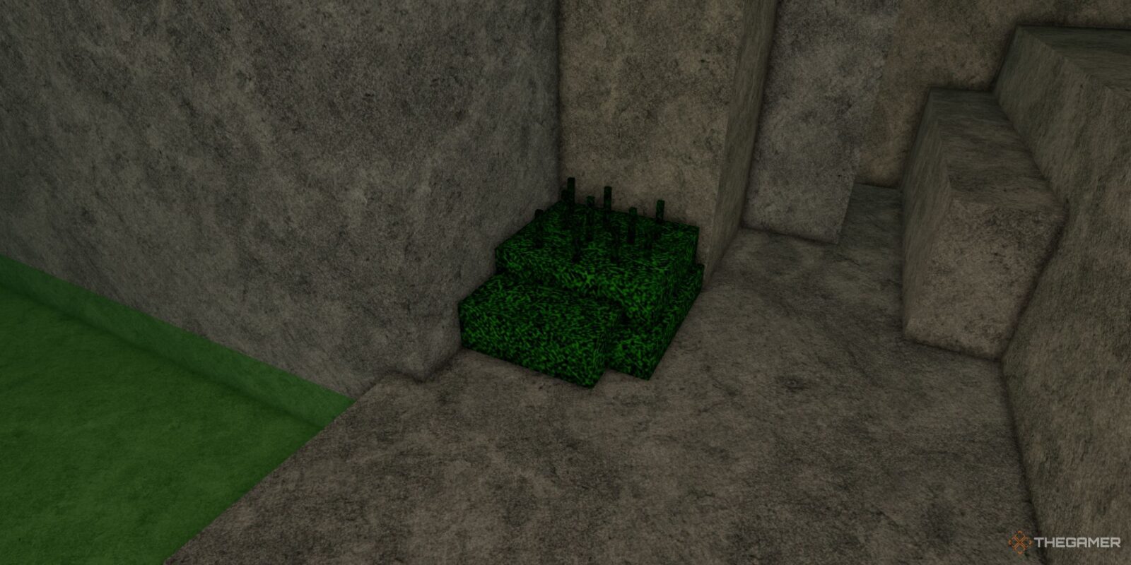 How To Get Moss In Rune Slayer