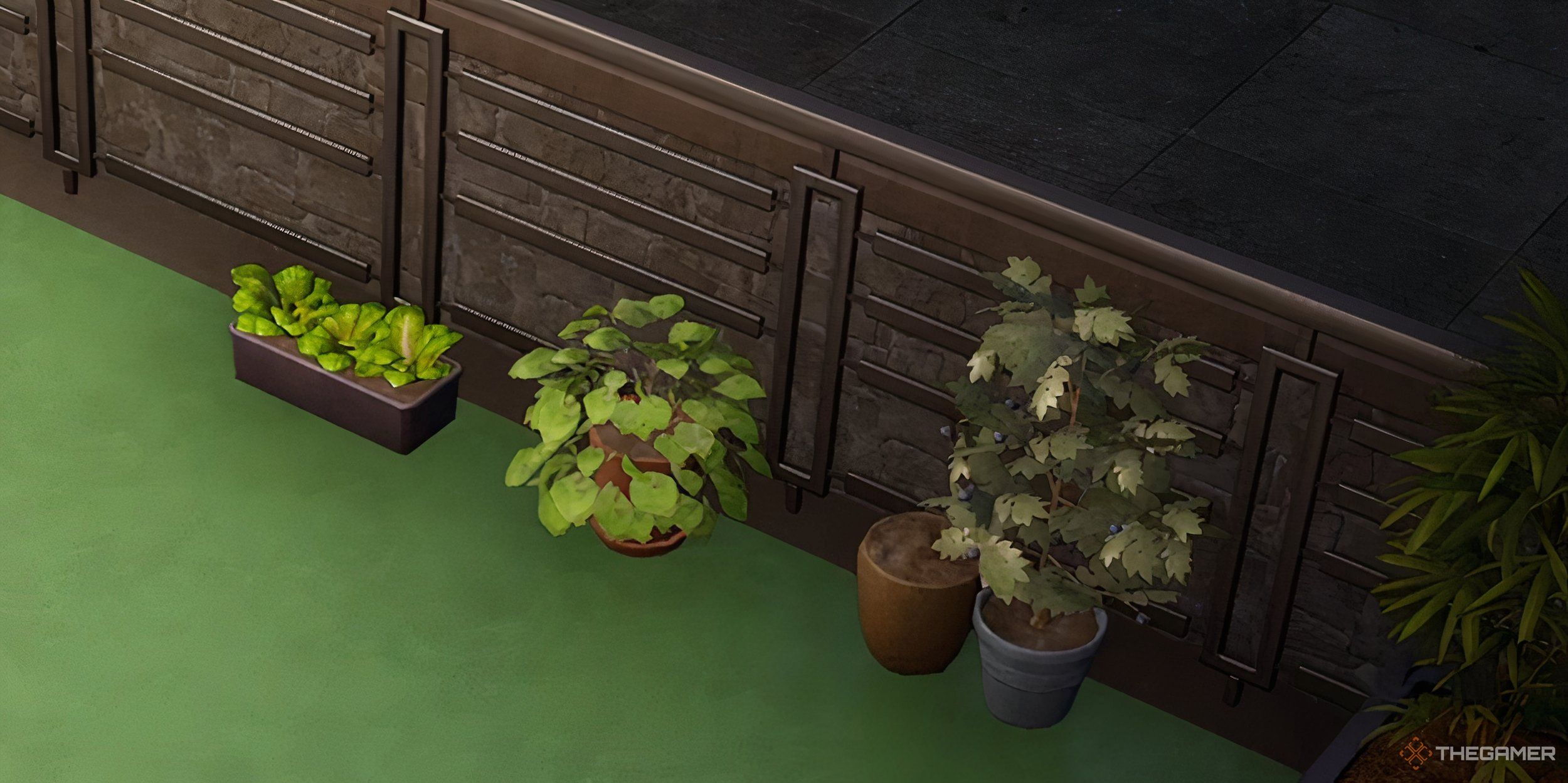 A line of potted plants in a backyard garden.