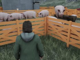 How To Raise Pigs In Ranch Simulator